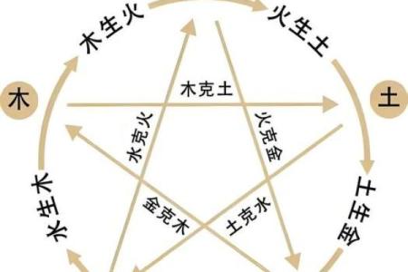 明的五行误区大揭秘：性格解析中的隐藏规律