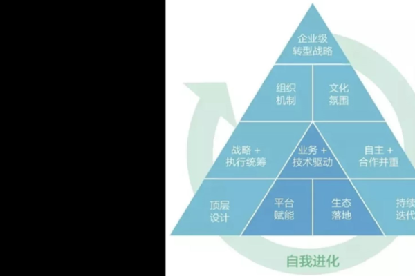 如何改变五行格局？森系性格的转型之道大揭秘