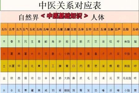 医药江湖五行术：性格解析大揭秘，如何布局你的五行格局？