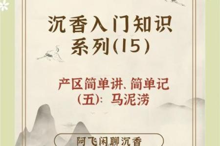 薄荷香里藏五行，揭秘你的性格密码与如何反而更强大