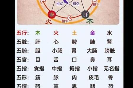 五行五方性格揭秘：破解你的五行格局，误区还是颠覆？
