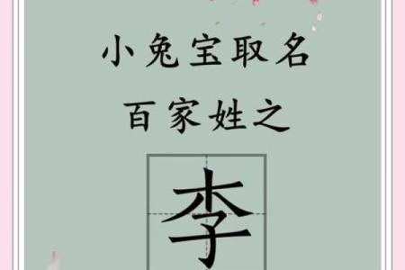 李姓五行格局解析：走出误区，找到最适合你的改变之道