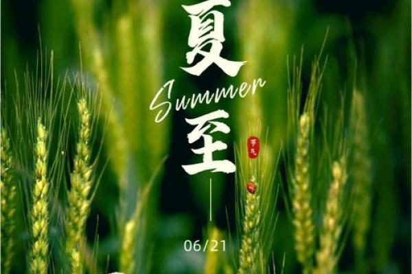 悠享盛夏，探索节日的自然之美