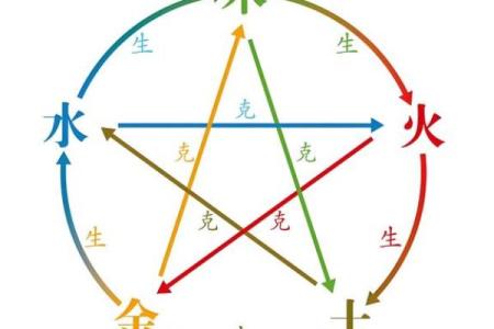 五行误区大揭秘：东方木属性，你真的了解吗？