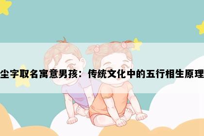 尘字取名寓意男孩：传统文化中的五行相生原理