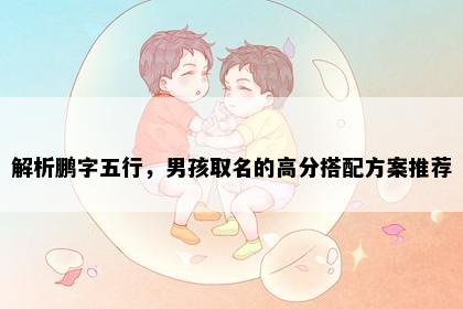 解析鹏字五行，男孩取名的高分搭配方案推荐