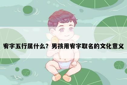 宥字五行属什么？男孩用宥字取名的文化意义