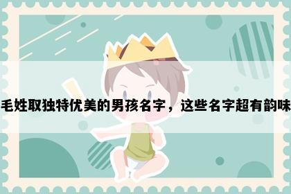 毛姓取独特优美的男孩名字，这些名字超有韵味