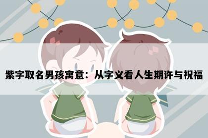 紫字取名男孩寓意：从字义看人生期许与祝福