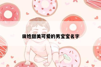 田姓甜美可爱的男宝宝名字