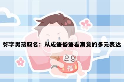 弥字男孩取名：从成语俗语看寓意的多元表达