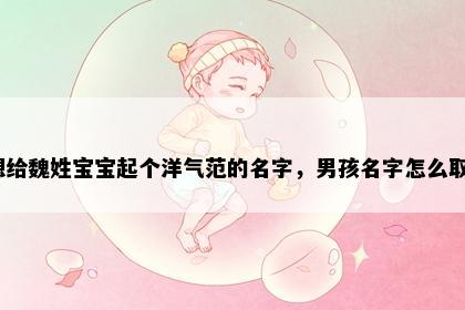 想给魏姓宝宝起个洋气范的名字，男孩名字怎么取？