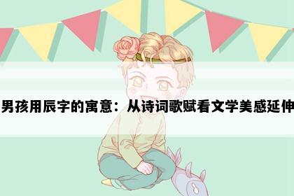 男孩用辰字的寓意：从诗词歌赋看文学美感延伸